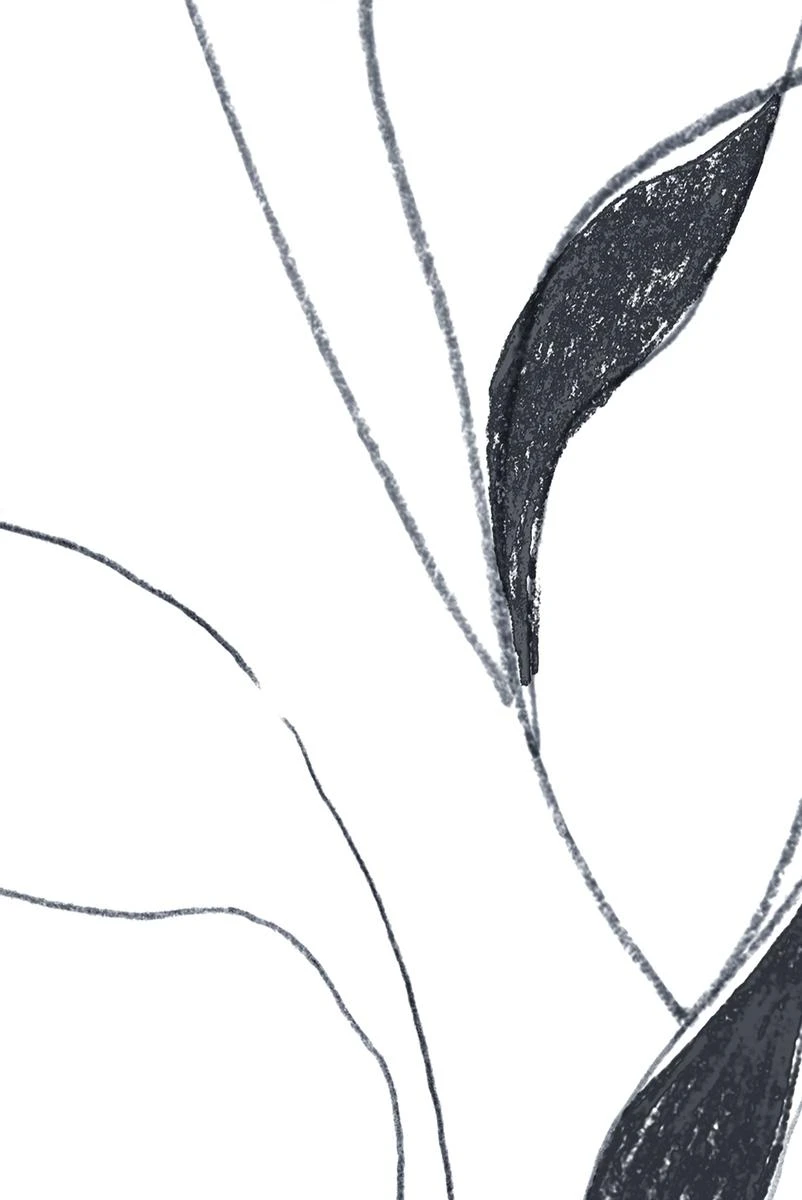 Vine Wallpaper - Charcoal