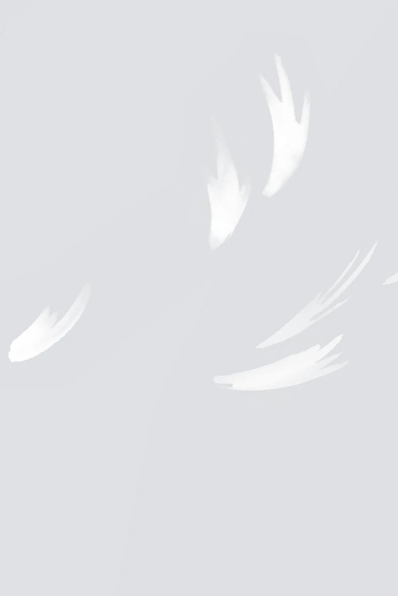 Falling Feather Wallpaper - Dove Grey