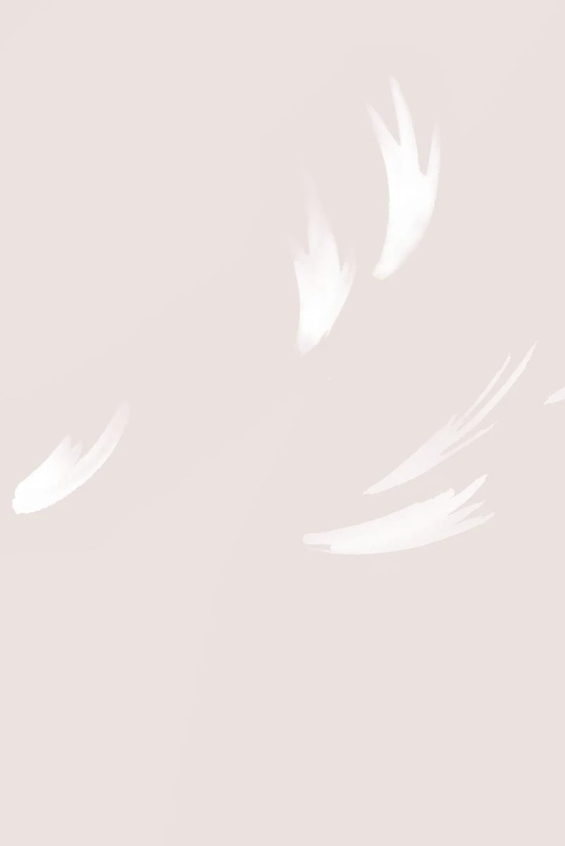 Falling Feather Wallpaper - Blush