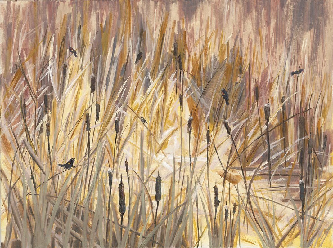 Cattail Chorus