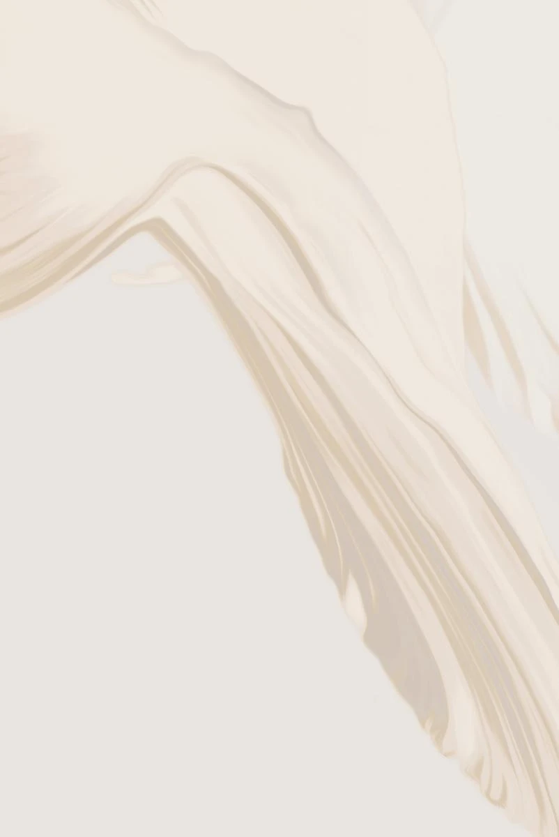 Aurora Wallpaper - Dawn