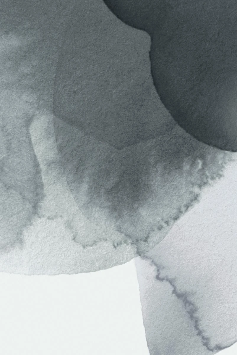Bloom Wallpaper - Charcoal