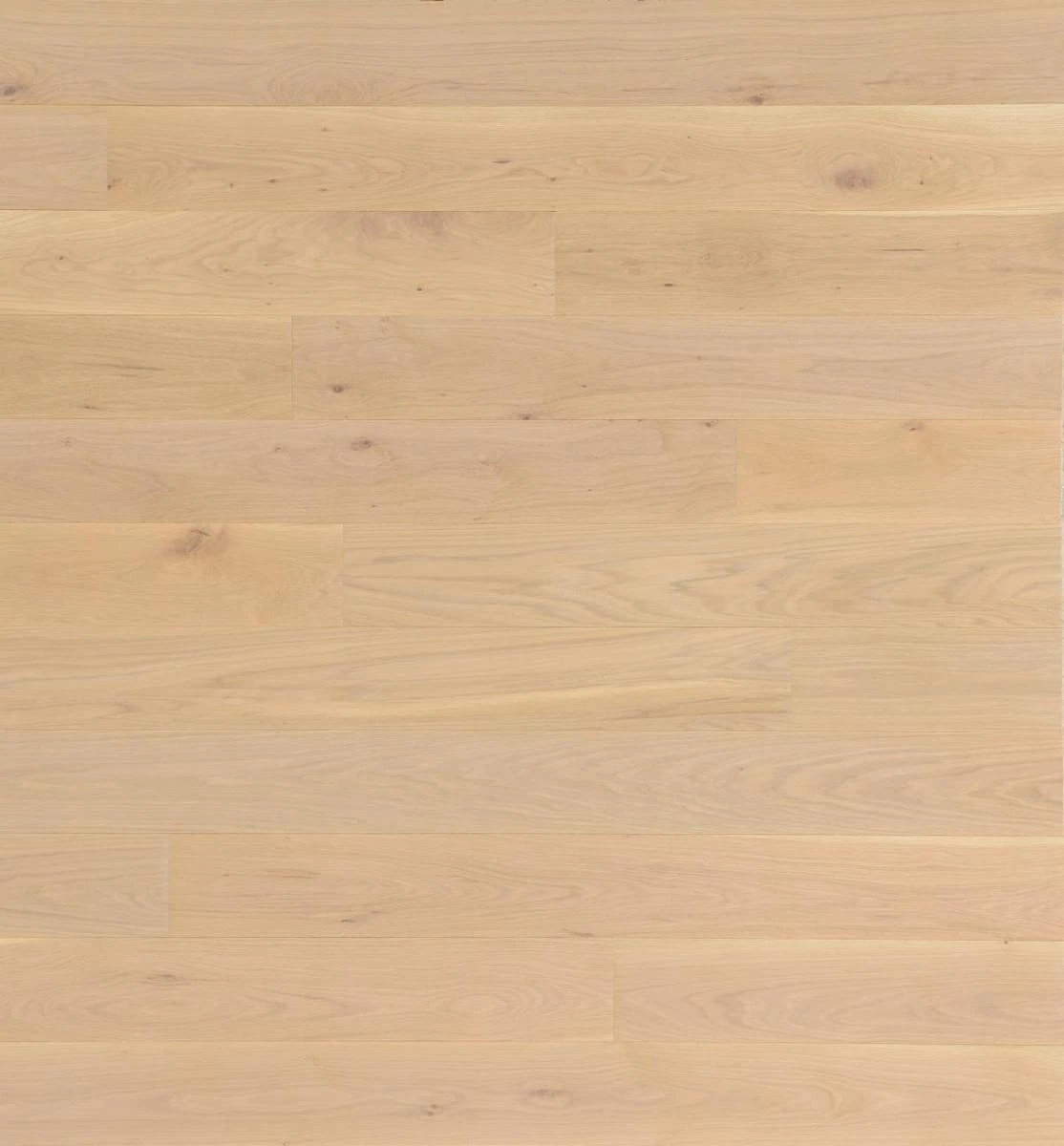 Oak Nordic Boulevard