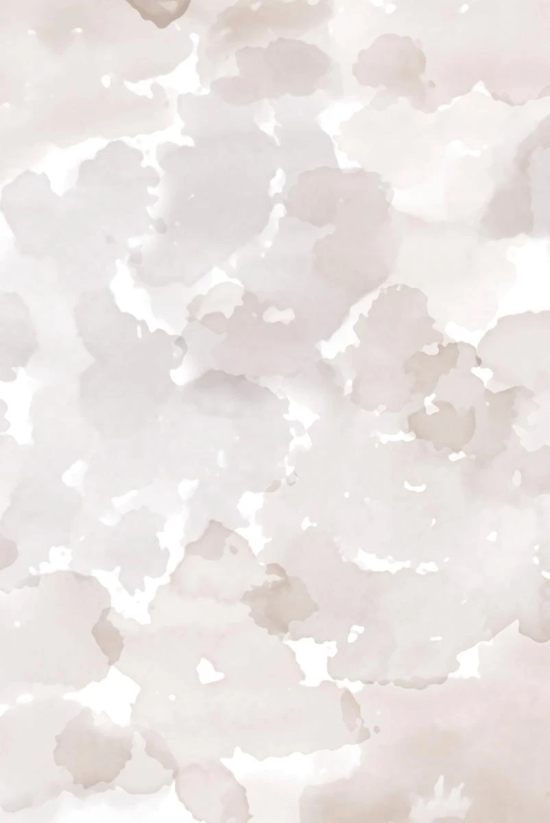 Colour Field Wallpaper - Taupe