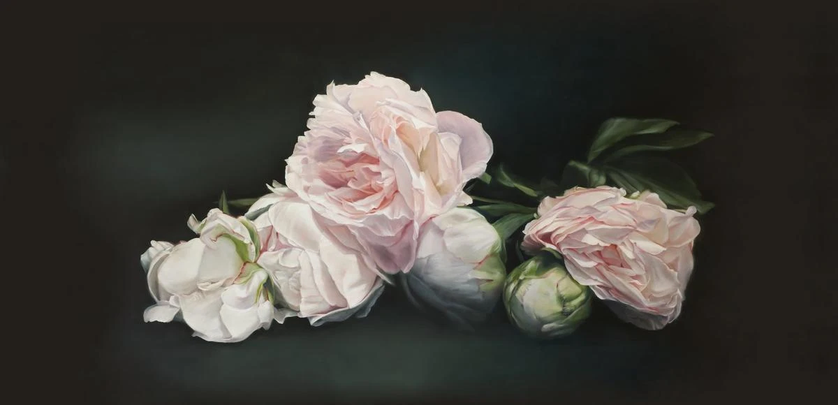 Pink Peonies