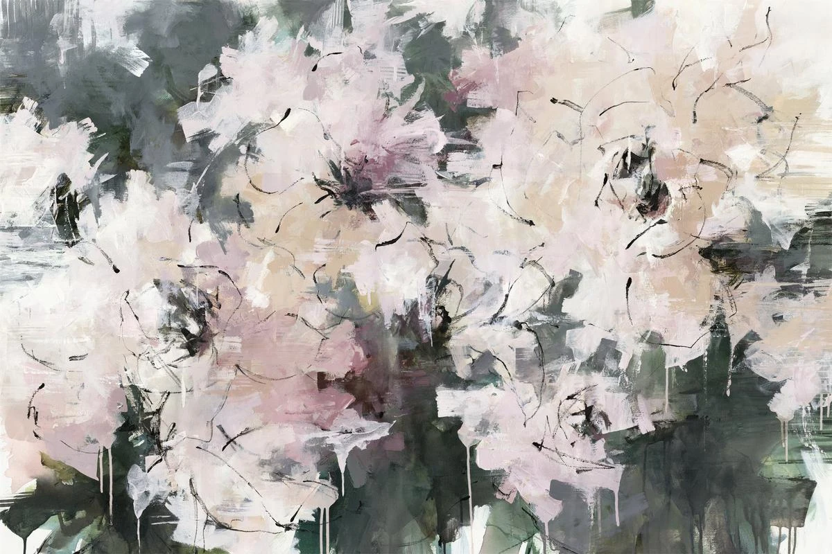 Cherry Blossoms